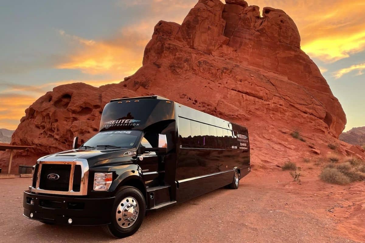 45-Passenger-Las-Vegas-Party-Bus-Nightclub-On-Wheels.jpg
